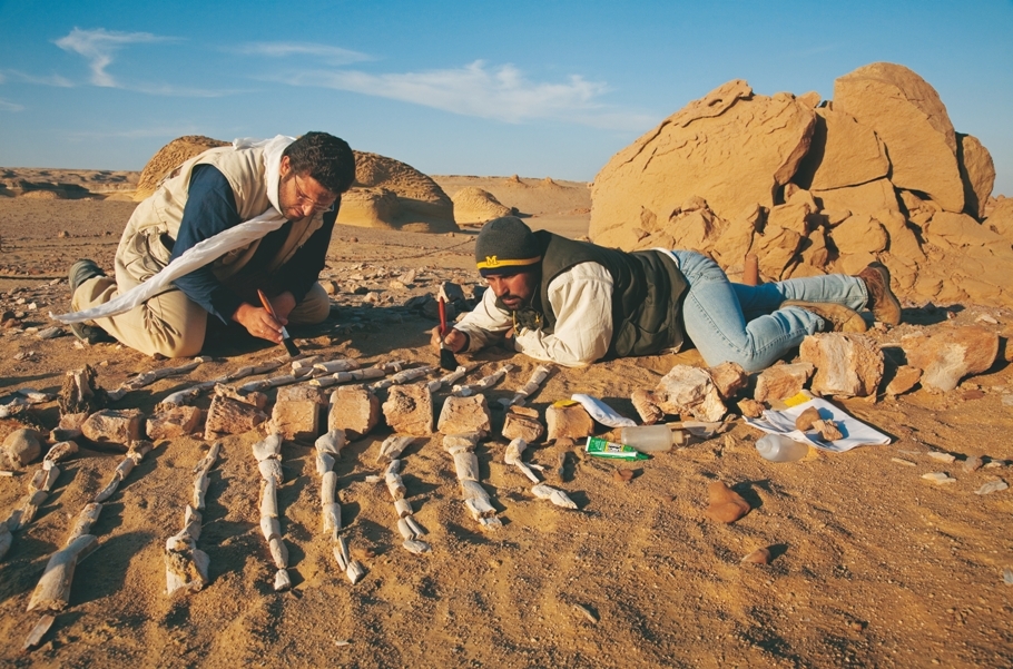еда в командировку питание полевые условия организация поход археологи
